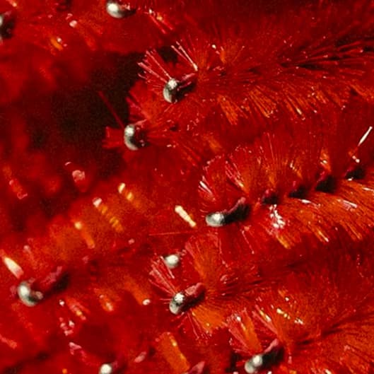 PRP Hair Restoration